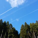 看護師のブランク13年、40代で復職体験、子ども3人