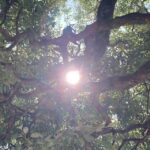身近な人が逝去、気づきと今後の生き方を考えた。