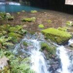 苦手意識がある採血、自分なりの心構え