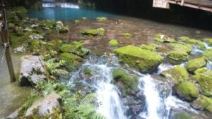 苦手意識がある採血、自分なりの心構え