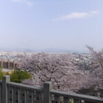 20代子供の推し活で、経済生活に影響が出た。親はどう子供と向き合う?