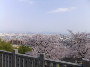 20代子供の推し活で、経済生活に影響が出た。親はどう子供と向き合う？