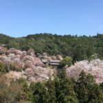 子供～大人（娘）になっても湿疹が治らず、塗り薬を辞めてみてその後。親から見た感想。