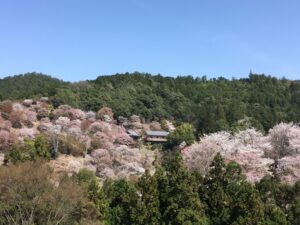 子供～大人（娘）になっても湿疹が治らず、塗り薬を辞めてみてその後。親から見た感想。