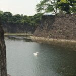 20代、推し活で生活に支障、経過.1