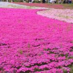 離れて暮らす親、親孝行とは何だろう?