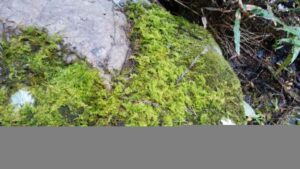 クリニック勤務、メリット・デメリット、気づき