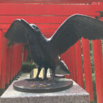 ご近所カラスと私、共存とは?