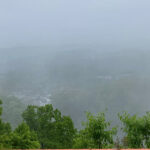 フローリングのカビ？、トホホとなった件