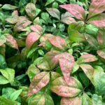 自己紹介、とびおば管理人が、なぜブログを始めた?