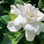 職場の人間関係から、心が楽になる人との距離とは?!