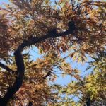 電車の運転見合わせ、状況判断悩む