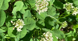 塾決定、悩みながら決めた自立型塾５