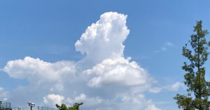 ゲーム好きの子供が、大学受験の勉強、親は過干渉をやめる？６