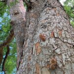 子供の受験、親は何が出来る?7