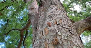 子供の受験、親は何が出来る?7