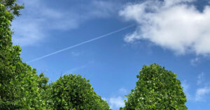 一度は訪れたい、「鶴田市立加茂水族館」