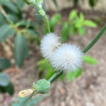 今までの過去を振り返ると、１つの感情と向き合うことになった。