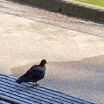 できれば避けたいと感じた人、3時間という長い説教、20年以上経ってから・・・何事も無駄はない!