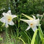 なぜ?50代になって心を整理したくなったのだろう、残された自分の時間をどう使うのか