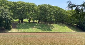 看護の仕事を離れて数か月、振り返ってみる