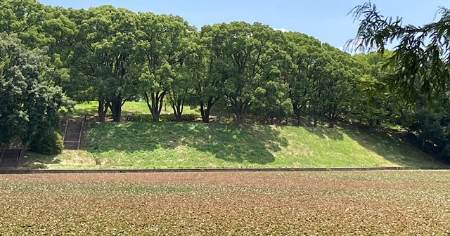 看護の仕事を離れて数か月、振り返ってみる