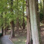 迷惑メール、『【重要】 不正利用監視通知』、三井住友カードから?非通知電話も!