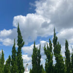 大人の反抗期？、今まで周りに合わせていたことに疑問、最近感じる事