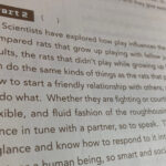 50代から英語やり直し?、超初心者が唯一継続しているアプリ、無理なく続く