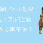 猫除けシートの効果なし、アルミと忌避剤で再予防？