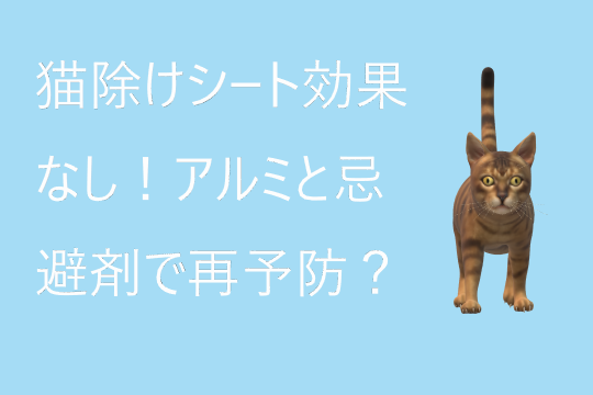 猫除けシートの効果なし、アルミと忌避剤で再予防？