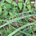 子供の受験、親は何が出来るのか?12