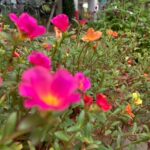 先日「車検の早太郎」で車検を受けた体験談、メリット・デメリットは?