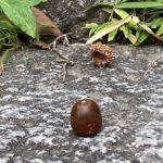 主婦で「仕事をしていない負い目」、退職後ちょっと後悔しない為に!