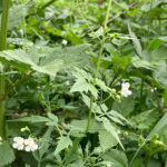 たまには愚痴・批判を言いたくなる？こぼすだけではもったいない！活かす方法は？！