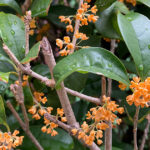 幼い頃から親から愛情の不足を感じていた私？、それは事実だろうか？