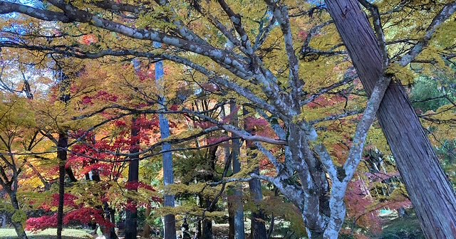 1年を振り返り、色々ありましたが気づきもあり、感謝です。