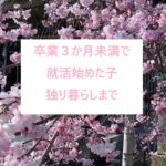 卒業3か月未満で、ギリギリ就活始めた子、独り暮らしまで