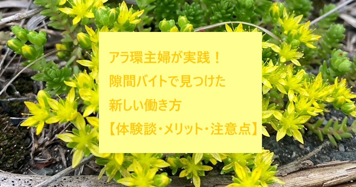 アラ還主婦が実践!隙間バイトで見つけた新たな働き方【体験談・メリット・注意点】