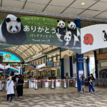 パンダ返還直前の南紀白浜へ!見納め体験と施設の魅力を正直レビュー