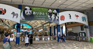 パンダ返還直前の南紀白浜へ！見納め体験と施設の魅力を正直レビュー