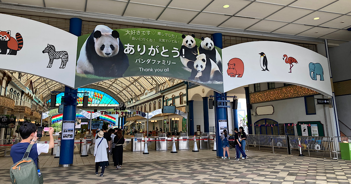 パンダ返還直前の南紀白浜へ!見納め体験と施設の魅力を正直レビュー