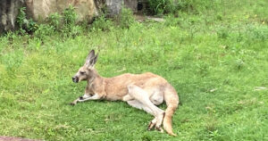 看護師派遣で病棟実習バイトに挑戦してみた、実体験と感想