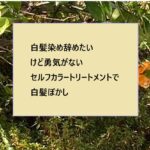 50代後半「白髪染めを辞めたい!」でも、「まだグレーヘアは早い」カラートリートメントで時間稼ぎ?