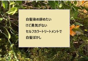 ５０代後半「白髪染めを辞めたい！」でも、「まだグレーヘアは早い」カラートリートメントで時間稼ぎ？