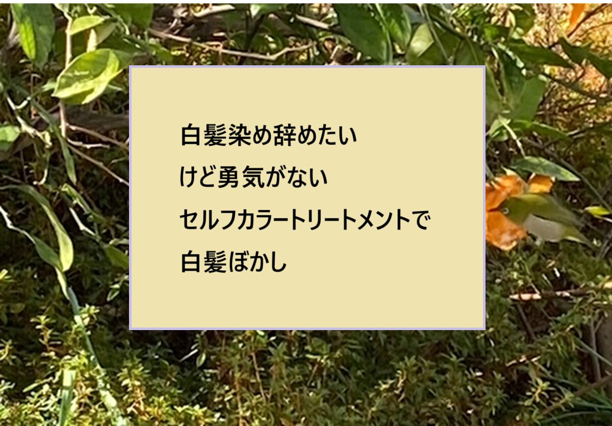 50代後半「白髪染めを辞めたい!」でも、「まだグレーヘアは早い」カラートリートメントで時間稼ぎ?