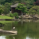 【体験談】「手相観ぱなせ」岡山で対面鑑定の感想