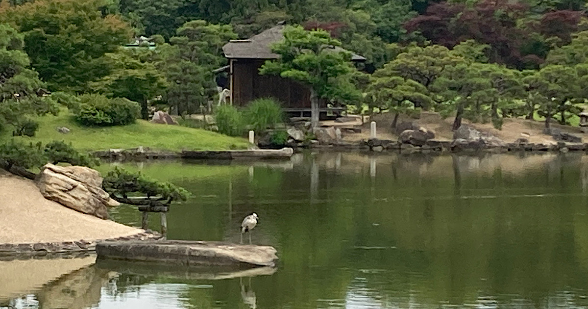 【体験談】「手相観ぱなせ」岡山で対面鑑定の感想