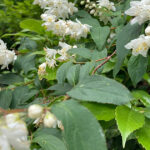 今年も心が揺れ動いた1年だった。変化と気づきを振り返って