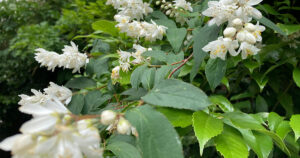 今年も心が揺れ動いた1年だった。変化と気づきを振り返って